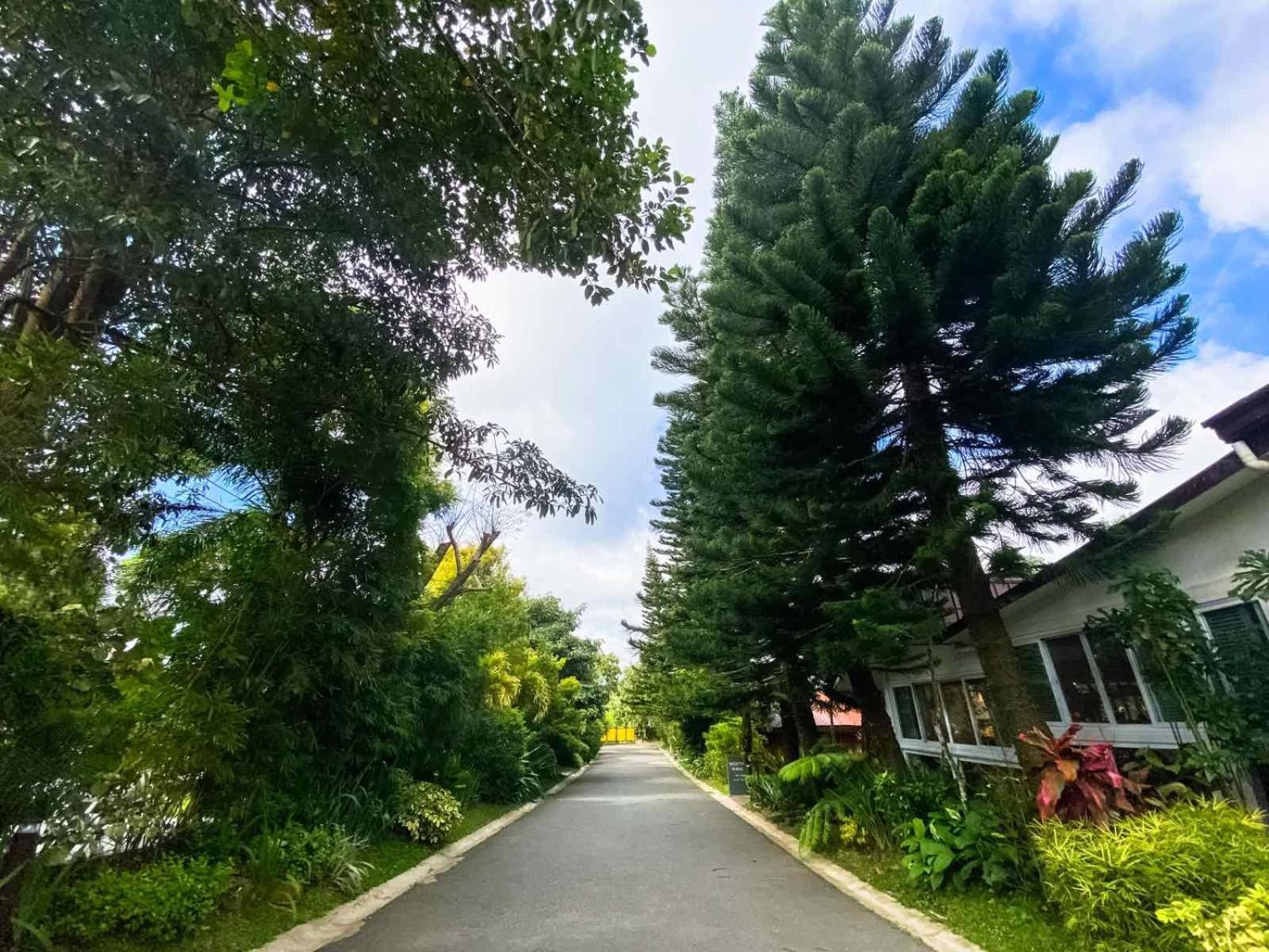 Hortz Hotels And Resorts Tagaytay City Kültér fotó
