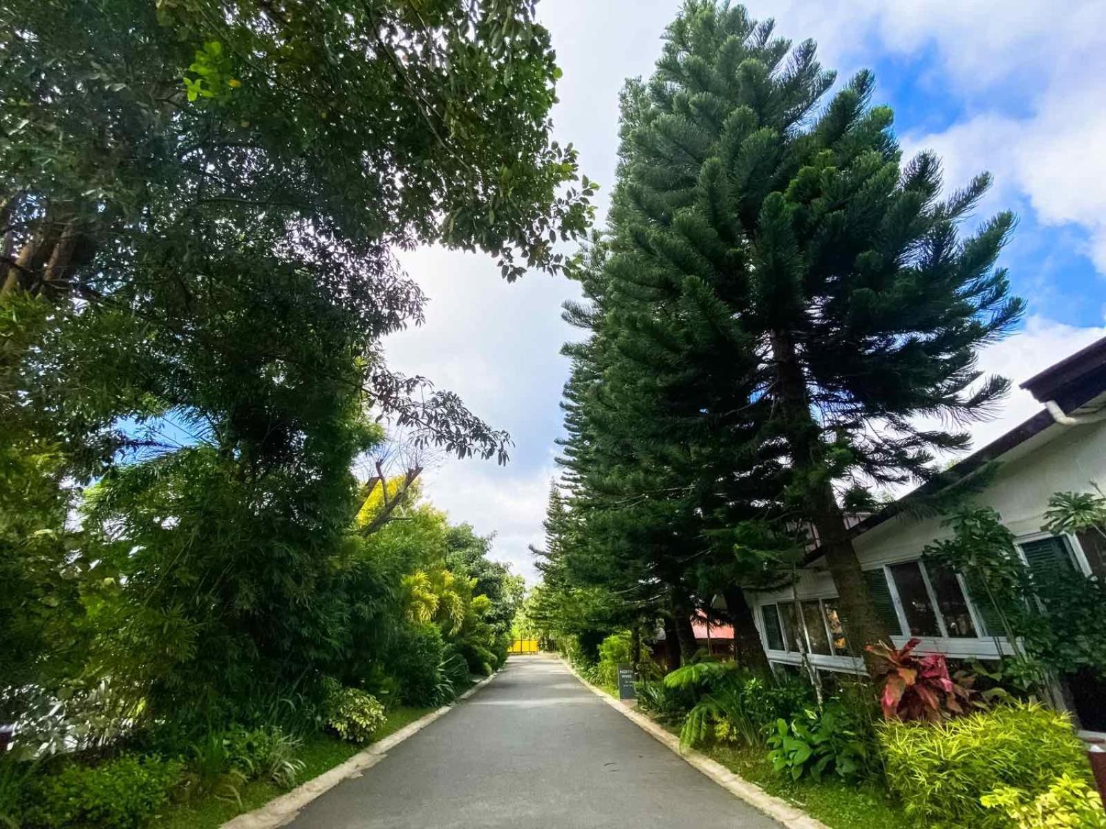 Hortz Hotels And Resorts Tagaytay City Kültér fotó